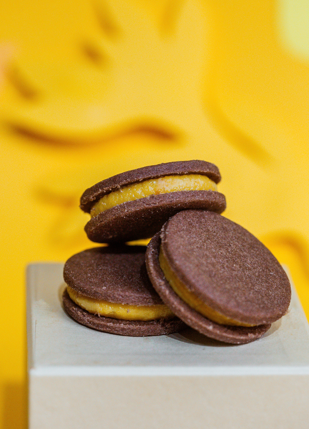 Bolacha de Bolo de Cenoura – Lata | Edição Especial Páscoa