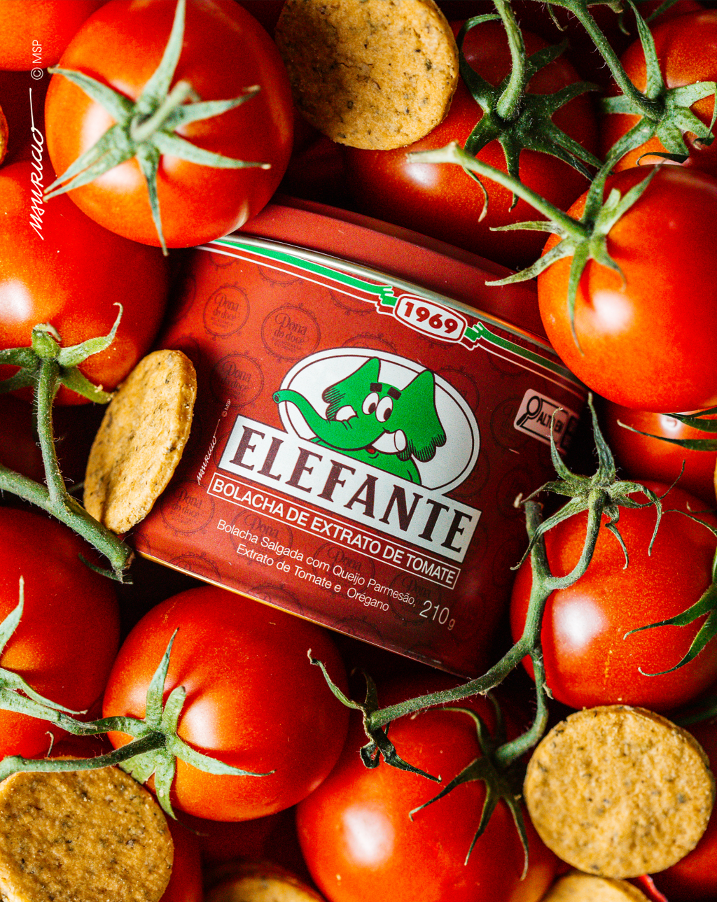 Lata Bolacha Extrato de Tomate | Jotalhão